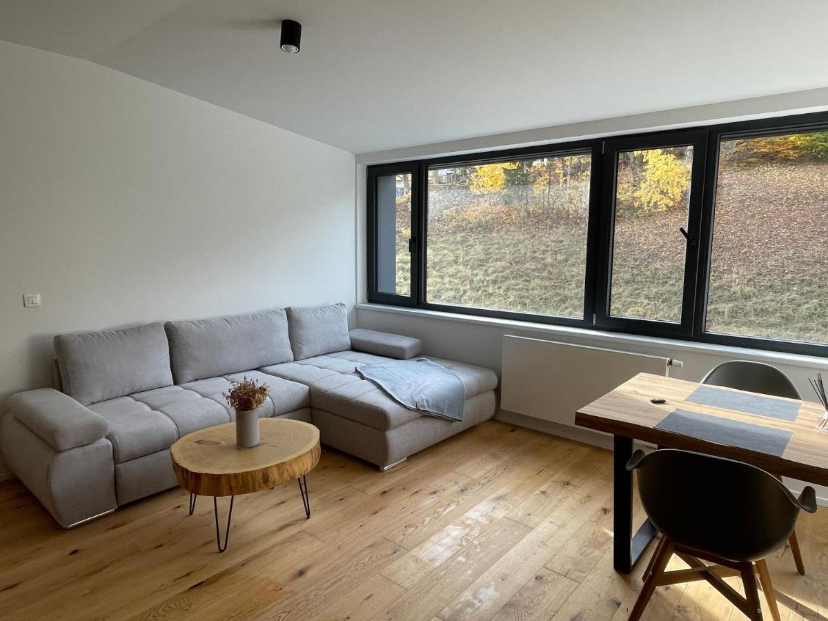 Ski&Bike Horsky Apartman 502 Jańskie Łaźnie Zewnętrze zdjęcie